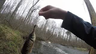 preview picture of video 'Trout opener 2019, Fishing Whitemans creek'