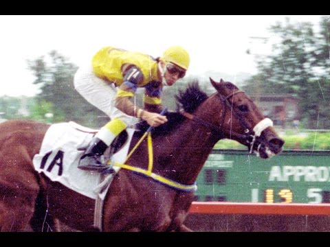 VERSET'S JET - Clásico Luis Muñoz Marín 1995