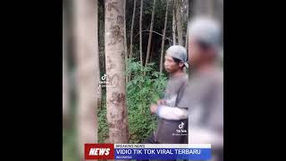 Download lagu VIDIO TIKTOK VIRAL TERBARU dj maimunah mp3