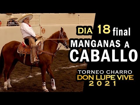 MANGANAS ON HORSEBACK day 18 - Don Lupe Vive Tournament 2021
