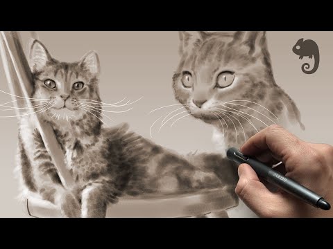 90MAC Life Drawing Class - CATS