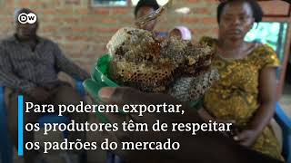 Miniatura do vídeo