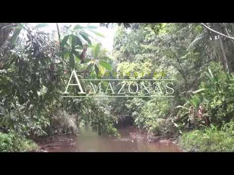 Удивительная амазонка: Южная Америка Д/Ф