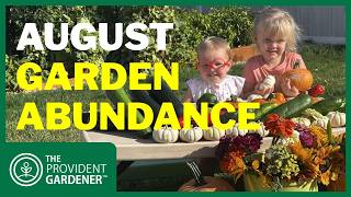 August Garden Tour: What's Thriving (and What's Not) in Our Busy Backyard Garden