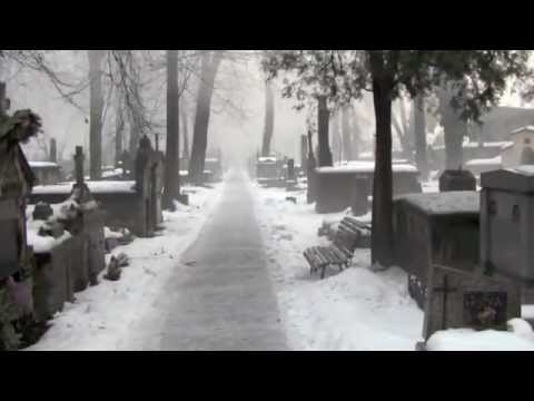 Pozostało nam krzyczeć - poezja po Smoleńsku