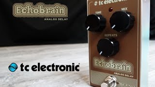 Video thumbnail for TC Electronic - ECHOBRAIN analog delay by Pedals Fusion