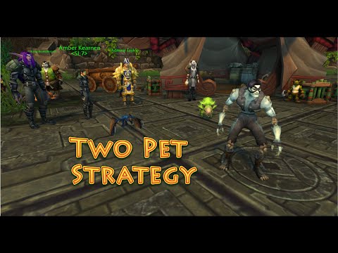Dr. Ion Goldbloom (Celestial Tournament) Two Pet Strategy Guide