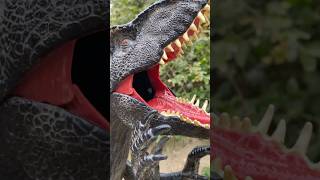 Download lagu Dinosaur Toys: Brachiosaurus vs Indominus Rex 🦕🦖 #dinosaur #toys #shorts mp3