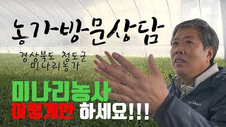 청도미나리농가 방문상담, 미나리농사의 모든것