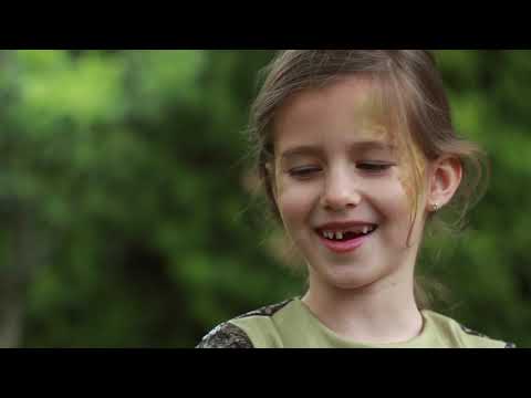 Kreativno pero - Knjiga o džungli