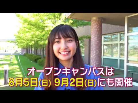 経営情報学科 【新潟国際情報大学】8/5、9/2にオープンキャンパス開催！