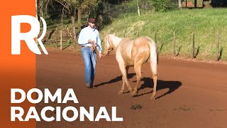 Miniatura do vídeo