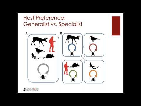 TickTalk webinar 3-11-2020:  Tick Behavior: finding hosts & feeding