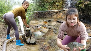 Top Video Fishing: Most İnteresting Fishing Techniques / Catching Many Big Fish / Fishing Girl