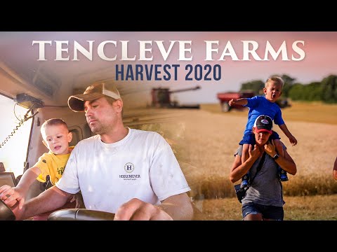 2020 Wheat Harvest Tencleve Farms