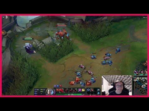 The Peak of Alcove Gaming