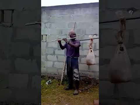 TOFA BOY - Flute song with my Monkey and Rabbits