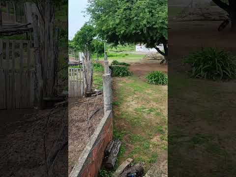 cajas do Jorge Ipaporanga Ceará