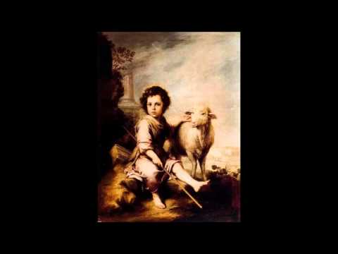 Belo Infante video