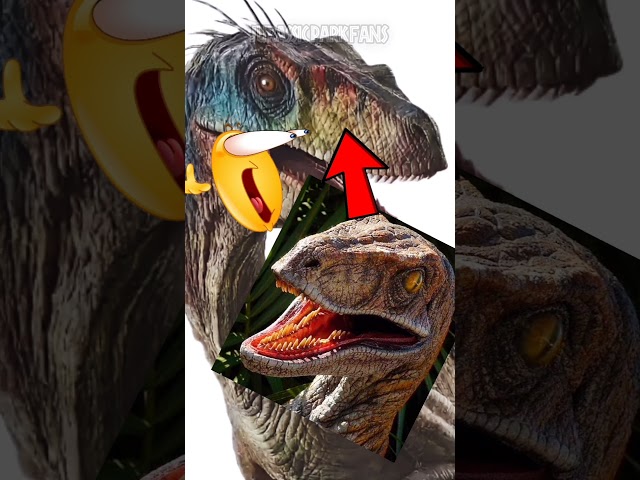 Vídeo relacionado con Grupo Erik Cuadro Jurassic Park 3D - Jurassic World rebirth Poster con marco 22,7 x 30 cm : Cuadros decoracion dormitorios | Decoracion habitacion juvenil : Merchandising oficial