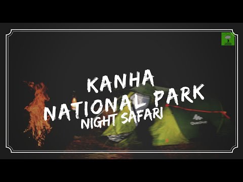download lagu mp3 mp4 Closest Airport To Kanha National Park, download lagu Closest Airport To Kanha National Park gratis, unduh video klip Closest Airport To Kanha National Park