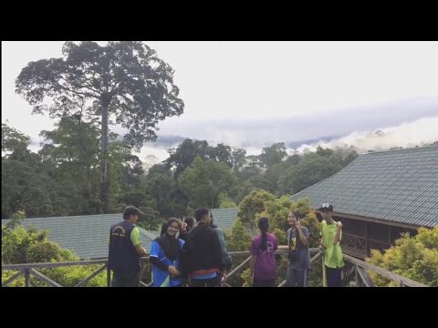 Maliau Basin - Sabah, Malaysia