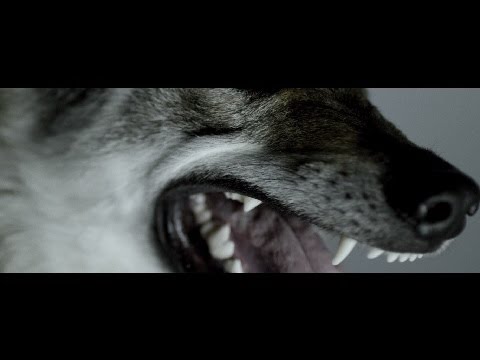 Grafa - Instinkt (official video)