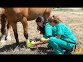 Curso Administração da Pequena Empresa Rural