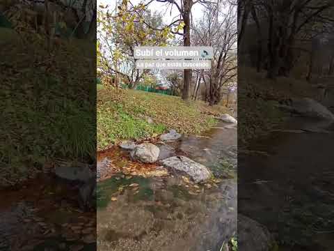 Arroyo el Portezuelo 📍Santa Rosa de Calamuchita Córdoba, Argentina 🇦🇷