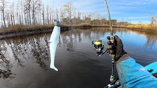 7 Species Creek | Big Bo’ PB