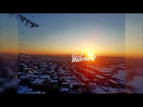 Robosonic - Thankful