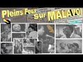 ♪ PLEINS FEUX SUR MALAVOI {Martinique} musiques et interviews🎻