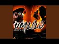 Umlilo Feat Mtekza MT Remix