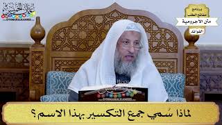 16 - لماذا سُمي جمع التكسير بهذا الاسم؟ - عثمان الخميس