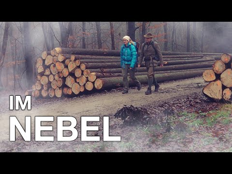 Romantische Wanderung in der fränkischen Schweiz