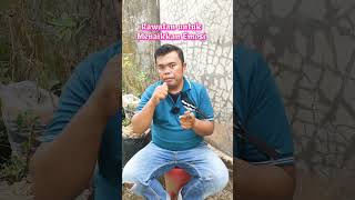 Download lagu Rawatan untuk Menaikkan Emosi Kacer #kacer #birds #tipsperawatankacer mp3