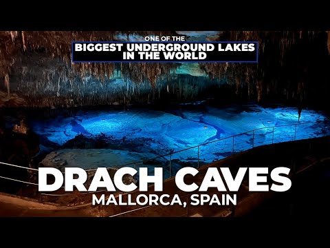 Drach Caves Guide - Mallorca, Spain - Best Thing To Do On The Island