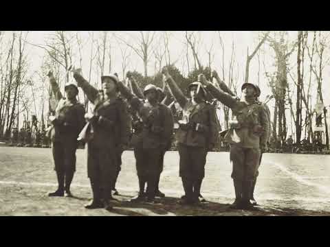 Giovinezza Arditi Testo dell'Ardito Marcello Manni - Cover Realistica