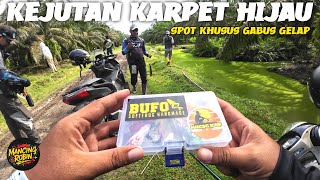 Download lagu HAMPALA ROUND GREEN CARPET !! TOO EASY FOR THE TEMPERATURE !! mp3