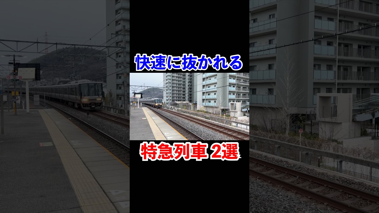 快速に抜かれる特急列車2選#shorts #jr西日本 #特急