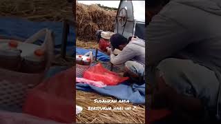 Download lagu sarapan di tengah sawah🤲‼️ @belajargawevideo mp3