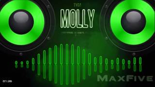 Tyga ft  Wiz Khalifa &amp; Mally Mall   Molly BassBoost