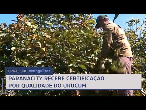 Paranacity recebe certificação por qualidade do urucum