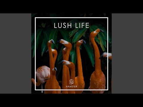 Oh Oh Oh (feat. Serena Foster)