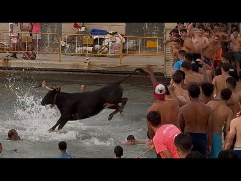 Bous a la Mar - Denia 2025