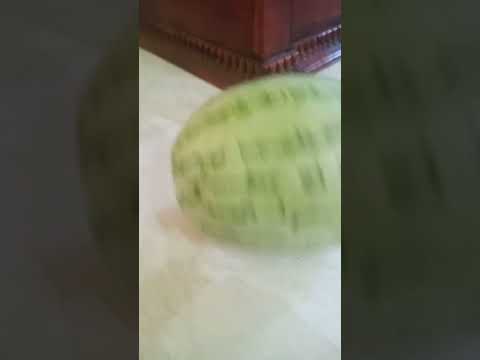 Watermelon popsicles || Summer special🍨🍭 || @swasthikaforever1204