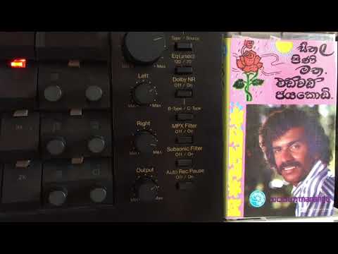 Edward Jayakody & Niranjala Sarojini: Seethala Pini Matha