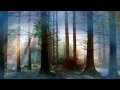 Bach Suite pour Orchestre n°3 Sarabande 
