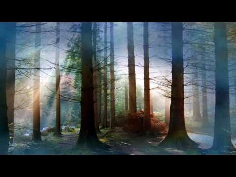 download lagu mp3 mp4 Suite Pour Orchestre No 3 En R Majeur, download lagu Suite Pour Orchestre No 3 En R Majeur gratis, unduh video klip Suite Pour Orchestre No 3 En R Majeur