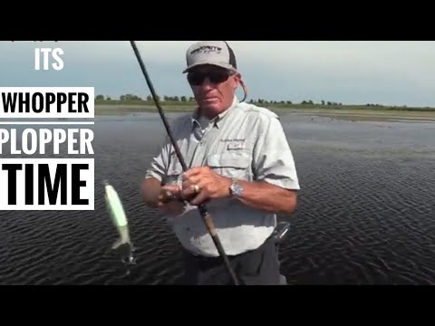 It's Whopper Plopper time!